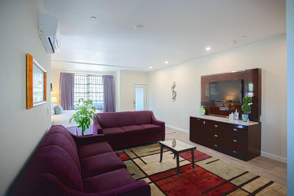 סן דייגו Spacious 500 Sqft Studio With Balboa Park View מראה חיצוני תמונה